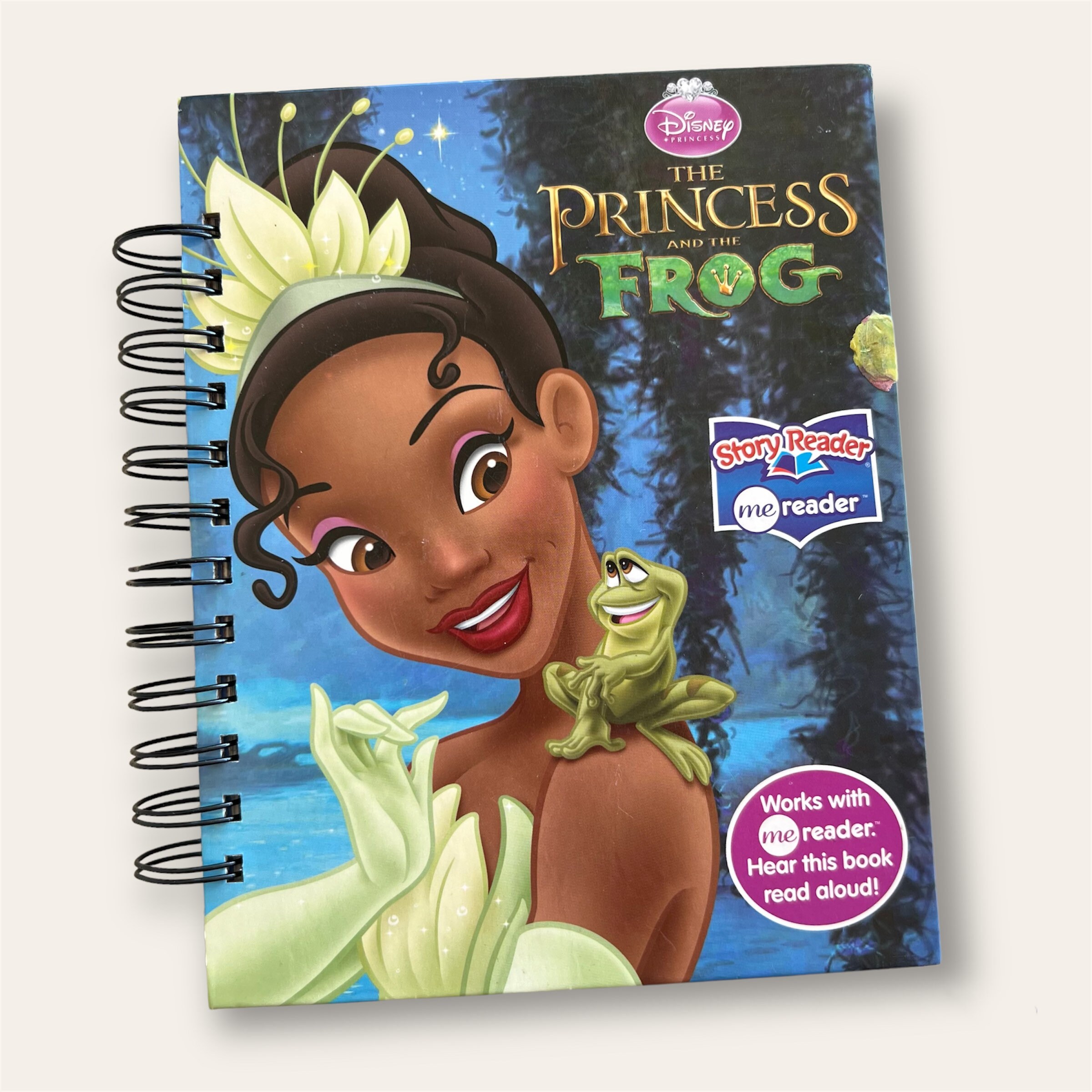 Princess and the Frog Upcycled Notebook Journal - Etsy