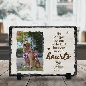 Può includere: Una pietra commemorativa rettangolare con una foto di un golden retriever con un abito a stampa floreale. Il testo recita: "Non più al nostro fianco ma per sempre nei nostri cuori" con il nome "Kaspy" e le date 2010-2022.