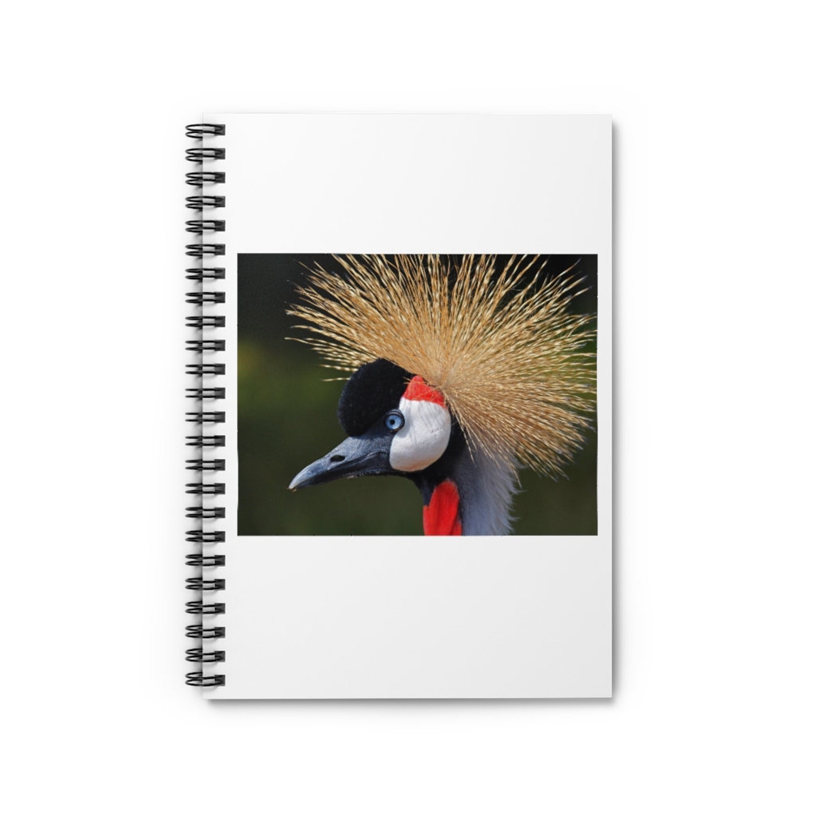 Crane Bird Notebook Crane Journal Birdwatcher Notebook Etsy