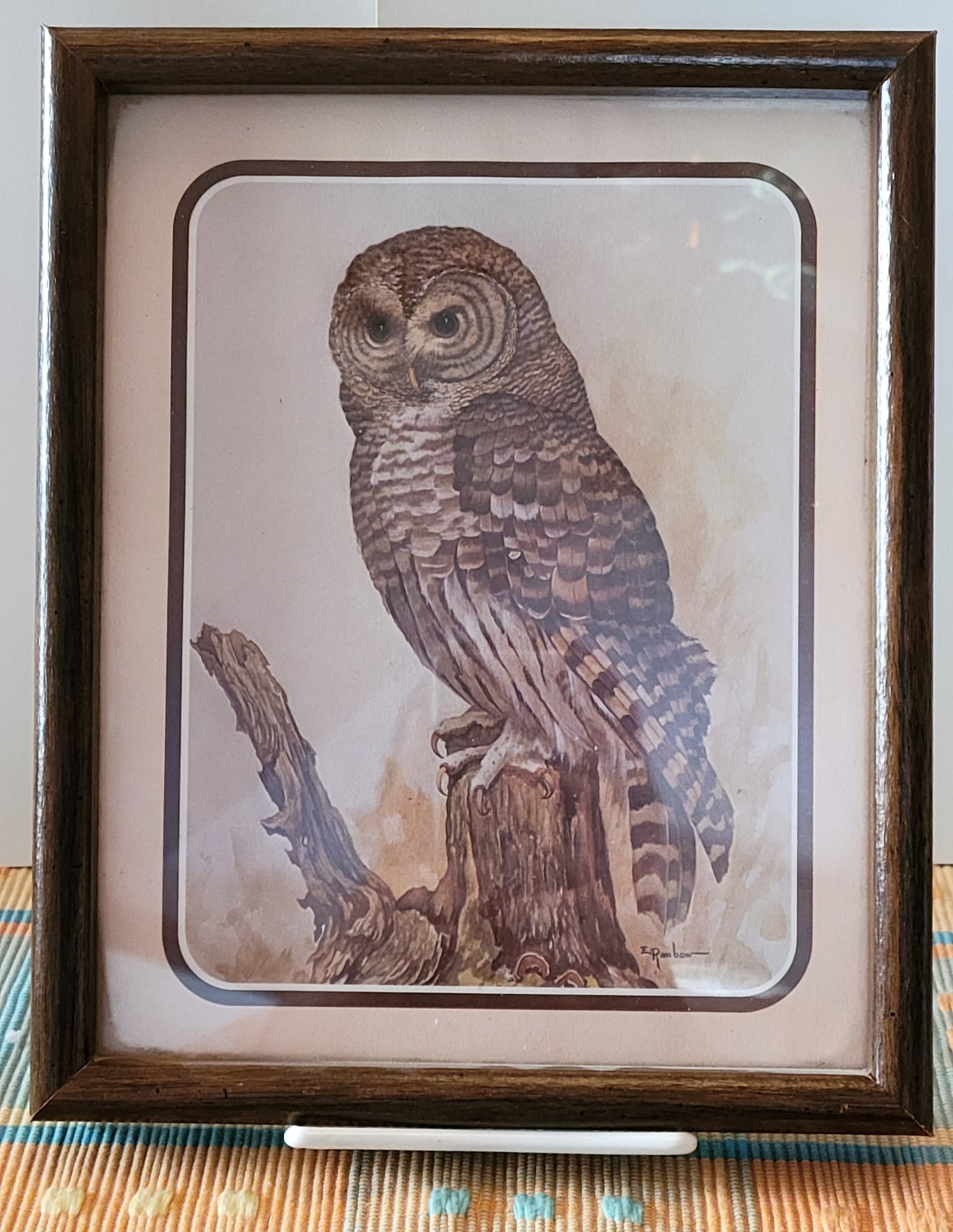 Pair of Vintage Brown Owl Prints in Frame Signed by E. Rambow Etsy