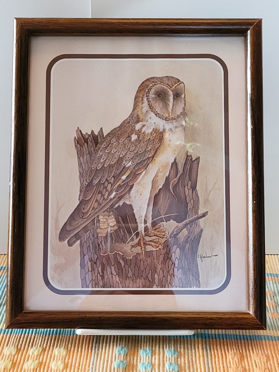 Pair Of Vintage Brown Owl Prints In Frame Signed By E Rambow Etsy