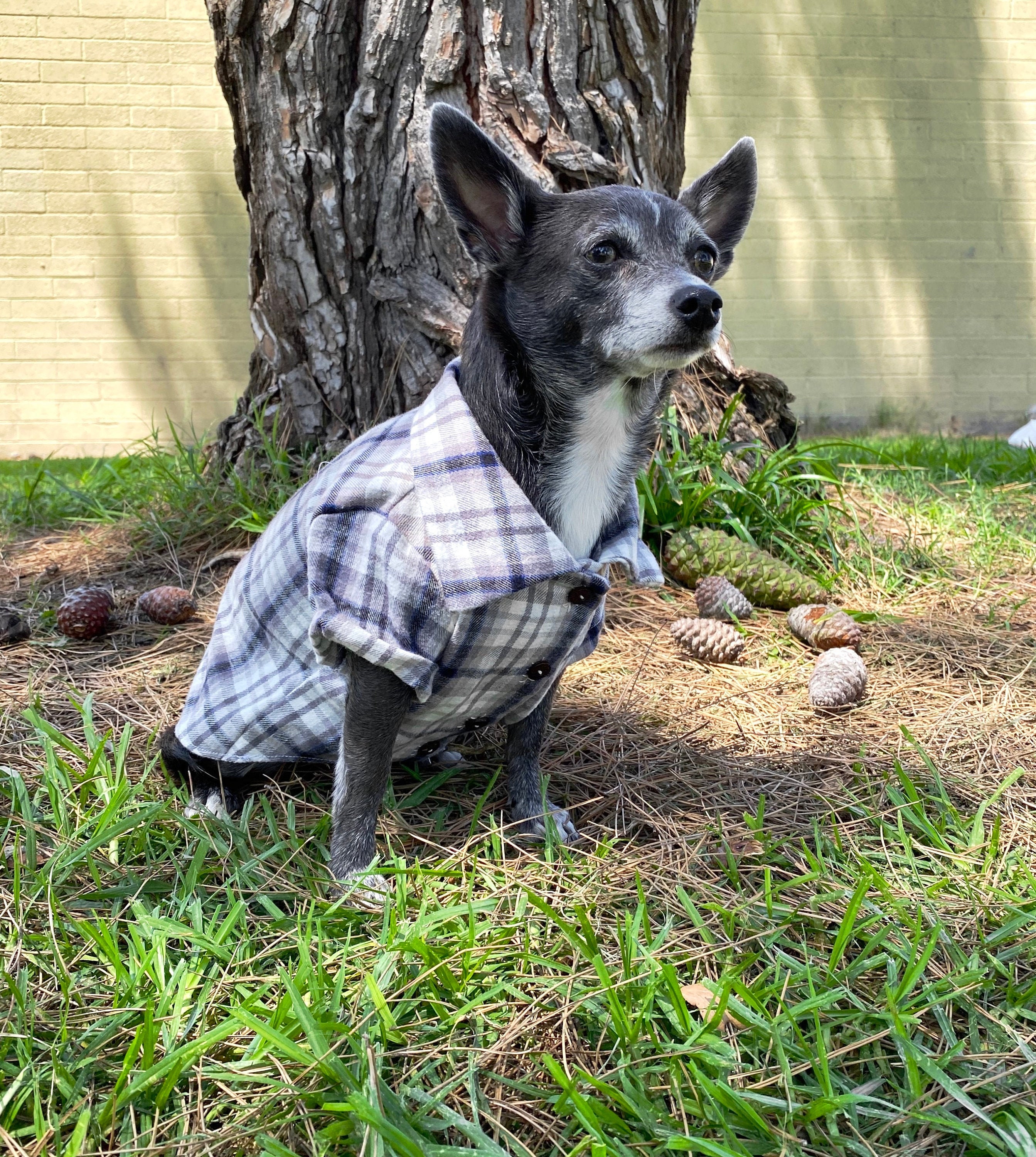 Plaid Flannel Shirt Dog Shirt Dog Clothing Beach Clothes Etsy