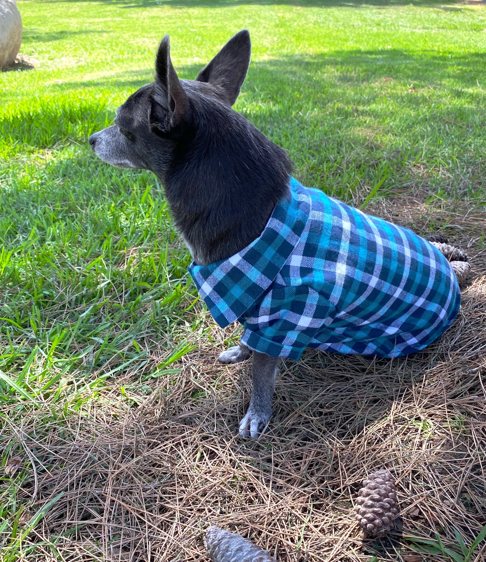 Plaid Flannel Shirt Dog Shirt Dog Clothing Beach Clothes Etsy