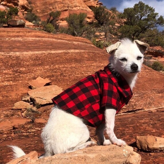 buffalo plaid dog clothes