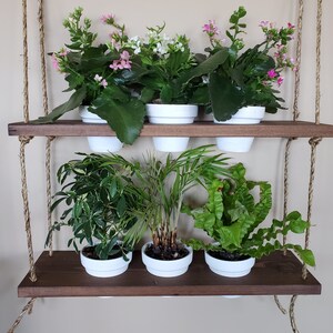 May include: A two-tiered wooden shelf with rope hangers, displaying six potted plants. The top shelf has three plants with pink and white flowers, while the bottom shelf has three plants with green leaves.