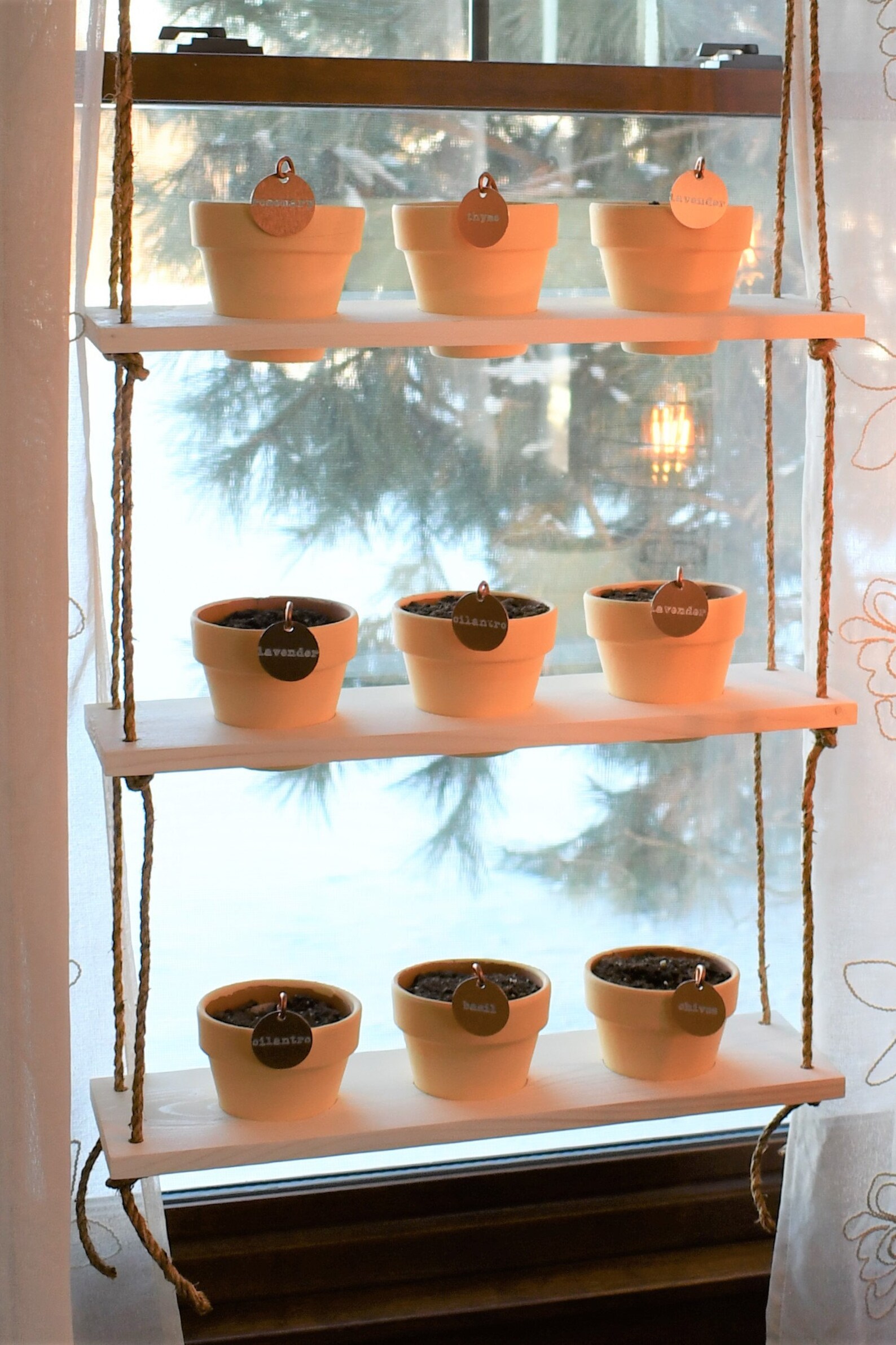 Floating Planter Shelves Hanging Indoor Herb Garden Shelves Etsy