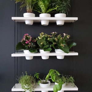 Hanging Window Plant Shelf image 2