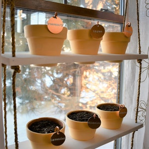 Hanging Window Plant Shelf image 6