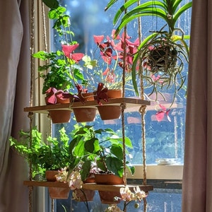 Hanging Window Plant Shelf Honey