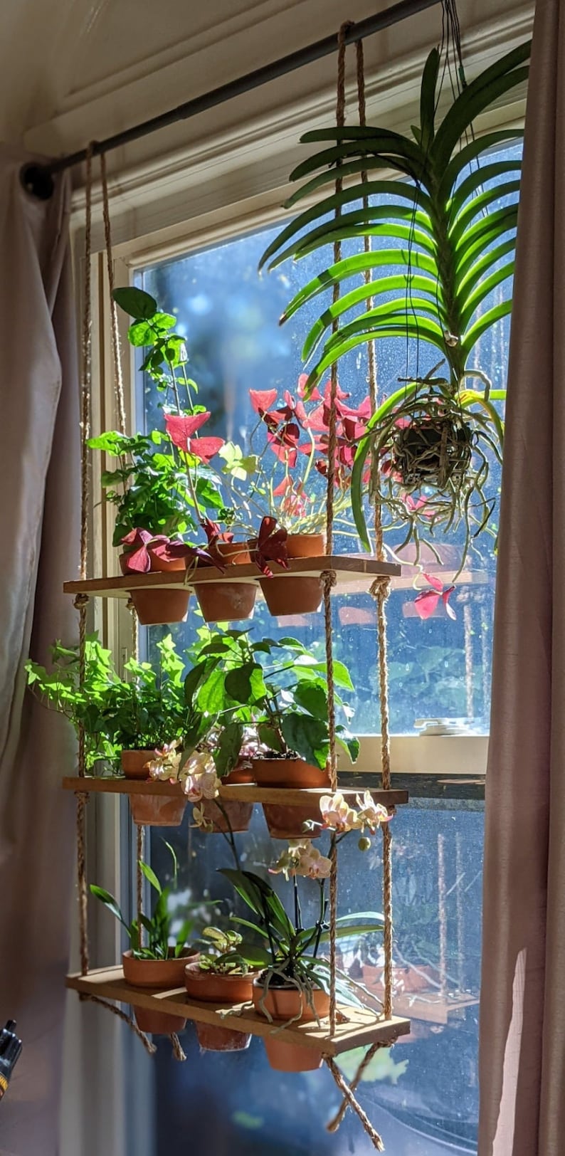 Hanging Window Plant Shelf Honey