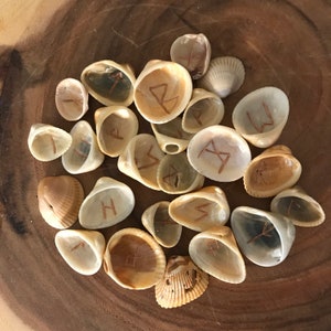 May include: A collection of seashells, each containing a rune symbol. The shells vary in size and color, ranging from white to tan. The runes are etched in a copper color, creating a contrast against the shell's natural tones. The arrangement is on a wooden surface.