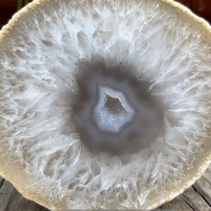 May include: A white agate slice with a gray center and a brown outer edge. The agate has a natural, organic pattern.