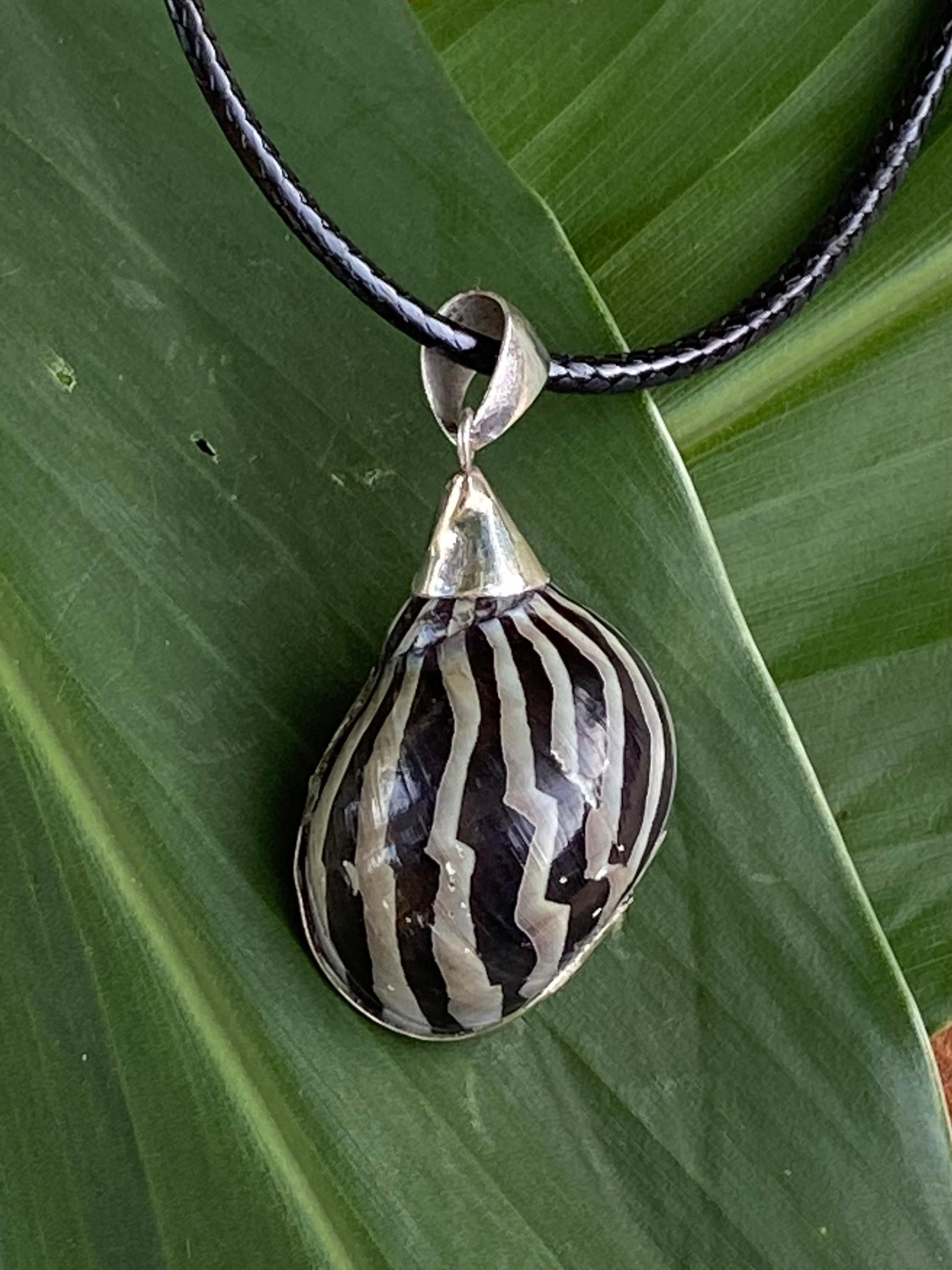 Striped Silver Shell Black Striped Sea Shell With Sterling Silver Accent Pendant - Etsy
