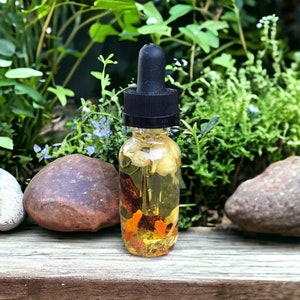 May include: A clear glass bottle with a black dropper top, filled with a golden liquid and botanical elements. The bottle contains pieces of orange peel, dried flowers, and a cinnamon stick. The background features greenery and rocks.