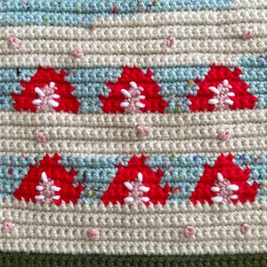 PDF PATTERN: Strawberry Cake | Digital Crochet Tapestry Pattern image 2