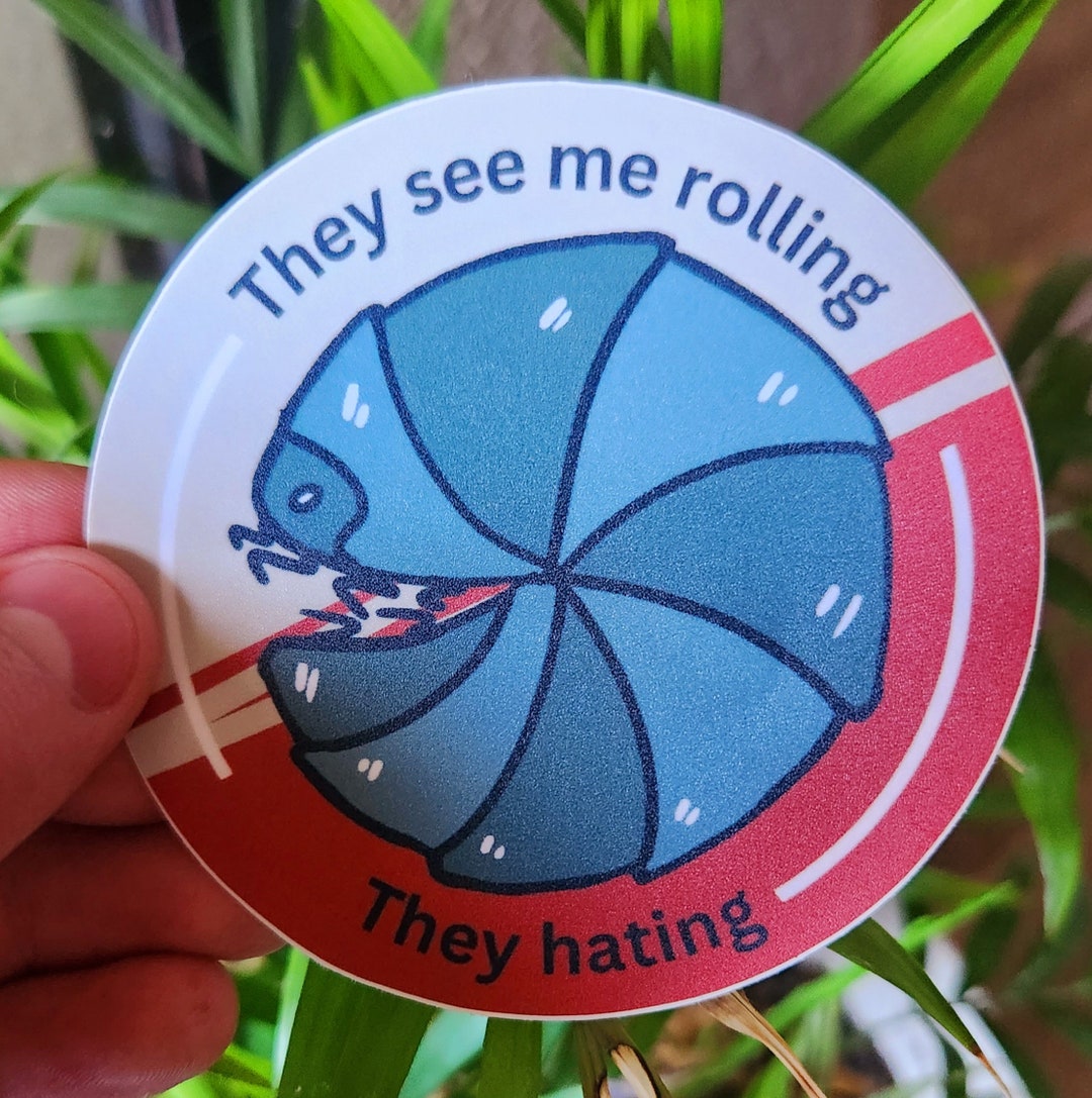 „They See Me Rolling“ Schlüsselanhänger – Witziges Nerd-Geschenk Aus Edelstahl!