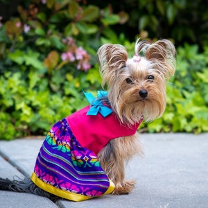 Robe cambaya pour animaux de compagnie. Fabriqué au Mexique. Fait main par des artisans. Robe de fête. Cinco de Mayo. Robe mexicaine et traditionnelle pour animaux de compagnie. Vêtements pour chien