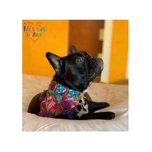Handmade Chiapas Pet Bandana with Adjustable Leather Collar