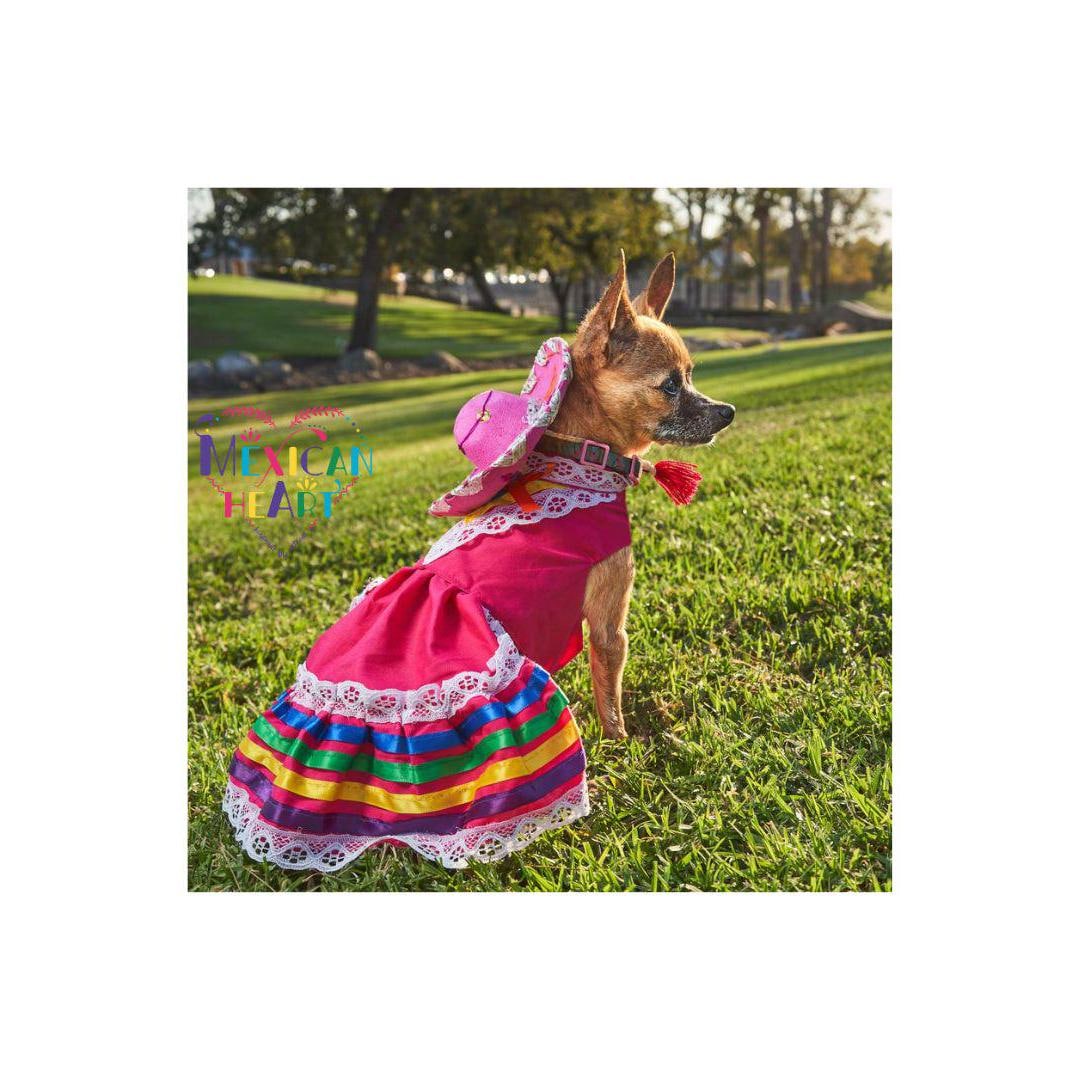 Chihuahua Hembra Ropa Para Perros Chihuahua Mercadolibre Vestido