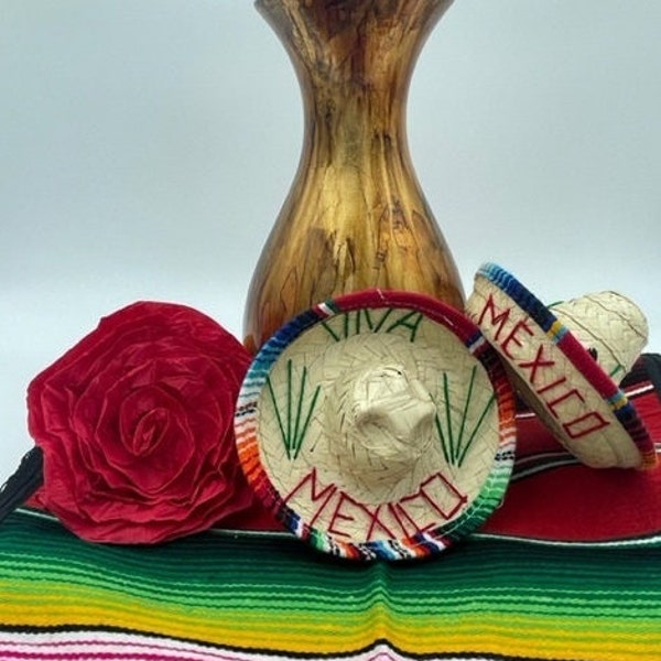 Sombrero charro for pet, Dog sombrero, Zapata style, Mexican Hat, Cinco de Mayo, Straw-woven sombrero. Fiesta Birthday hat. Pet costume.