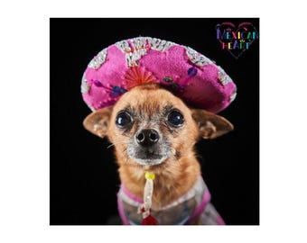 Mariachi hat, Cinco de Mayo, Dog hat, pet hat, velvet hat, sombrero mexicano, puppy hat, small hat, party hat, fiesta decor, terciopelo