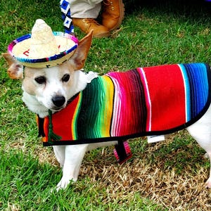 Sombrero charro for pet, Dog sombrero, Zapata style, Mexican Hat, Cinco de Mayo, Straw-woven sombrero. Fiesta Birthday hat. Pet costume.
