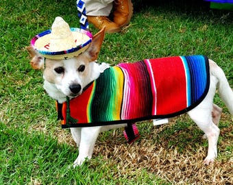 Straw-Woven Dog Sombrero: Charro Zapata Style Pet Costume
