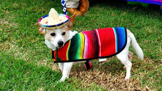 Straw-Woven Dog Sombrero: Charro Zapata Style Pet Costume