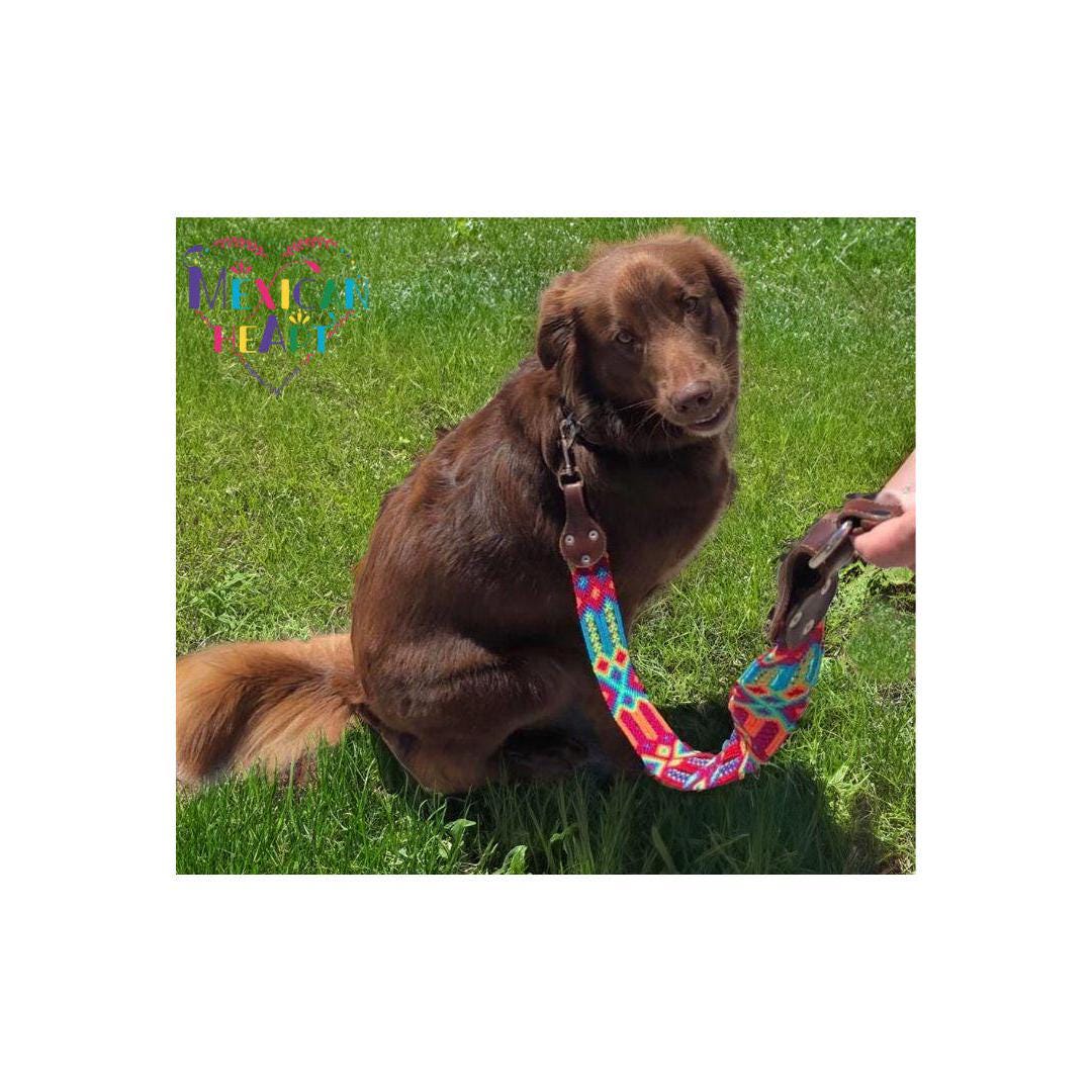 Correa para perro de seda tejida a mano: correa de cuero artesanal