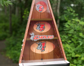 A-Holes Bean Bag Game