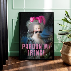 May include: A framed print of a woman in a historical portrait with a pink feathered hat. The woman's mouth is covered with a black tape with the text "S*#%!" on it. The text "Pardon My French" is written in pink letters below the portrait.