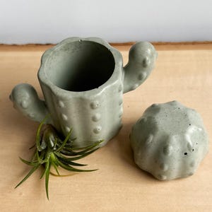 May include: A light green concrete cactus-shaped planter with a matching lid. The planter has a textured surface with small bumps and a hollow interior. A small green plant sits in front of the planter.