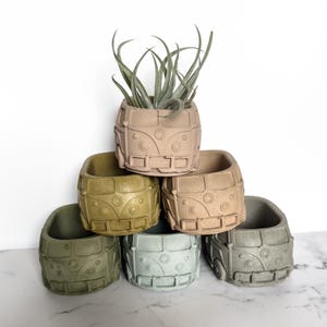 May include: Six small, ceramic planters shaped like vintage Volkswagen vans. The planters are in various shades of green, brown, and beige. One planter has an air plant inside.