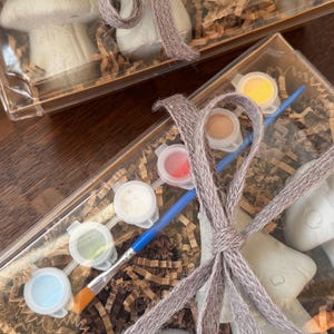 May include: Two clear plastic boxes containing mushroom-shaped figurines, paint pots, and paintbrushes. The boxes are tied with a gray twine bow. The mushrooms are light gray, and the paint pots contain various colors, including blue, yellow, and green.