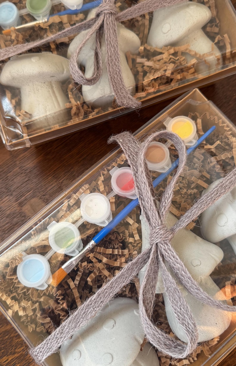May include: Two clear plastic boxes containing mushroom-shaped figurines, paint pots, and paintbrushes. The boxes are tied with a gray twine bow. The mushrooms are light gray, and the paint pots contain various colors, including blue, yellow, and green.