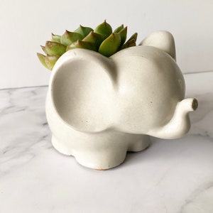 Concrete Elephant Planter | Elephant Planter | Concrete Planter | Succulent Planter | Small Indoor Planter | Elephant Decor | BLACK FRIDAY