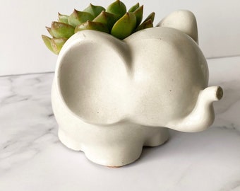 Concrete Elephant Planter | Elephant Planter | Concrete Planter | Succulent Planter | Small Indoor Planter | Elephant Decor | BLACK FRIDAY