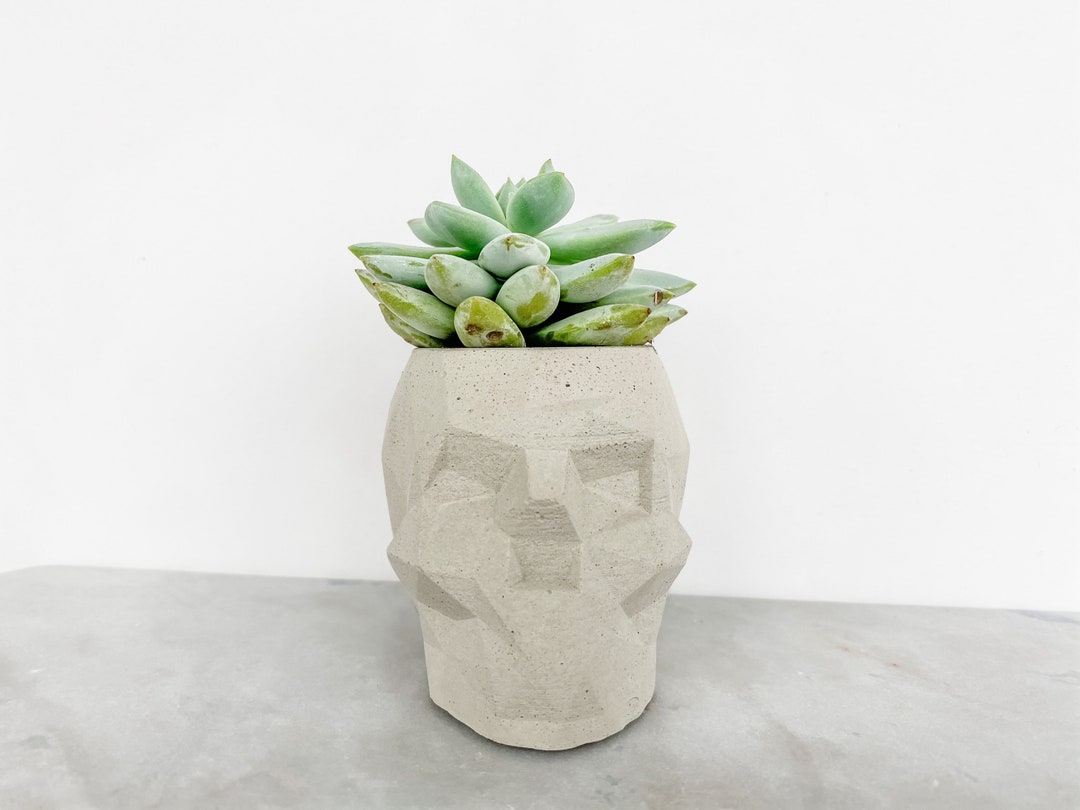 Concrete Skull Planter Skull Planter Small Indoor Plant Pot Succulent