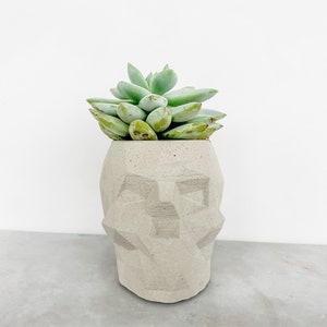 May include: A succulent plant in a white geometric concrete planter shaped like a skull.