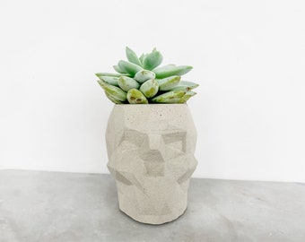 Concrete Skull Planter | Skull Planter | Small Indoor Plant Pot | Succulent Planter | Plant Pot | Halloween Home Decor | Housewarming Gift