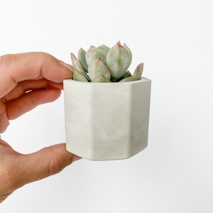 Small Concrete Planter | Concrete Planter | Concrete Plant Pot | Minimalist Planter | Succulent Planter | Indoor Planter | BLACK FRIDAY