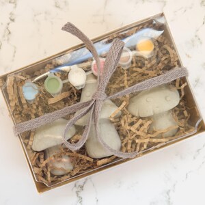 May include: A clear box contains three mushroom-shaped objects, paint pots, and a paintbrush. The box is filled with brown paper and tied with a gray ribbon. The mushrooms are light green. The paint colors include blue, green, white, pink, and yellow.