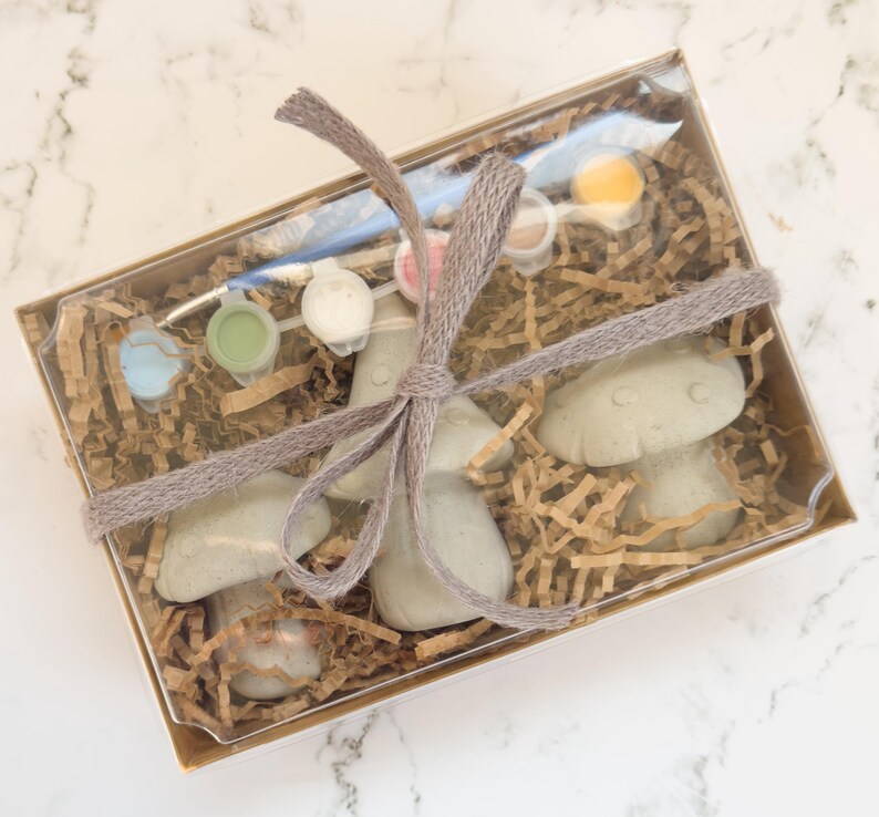 May include: A clear box contains three mushroom-shaped objects, paint pots, and a paintbrush. The box is filled with brown paper and tied with a gray ribbon. The mushrooms are light green. The paint colors include blue, green, white, pink, and yellow.