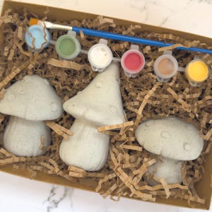 May include: A craft kit with three mushroom-shaped figurines, paint pots in blue, green, white, red, brown, and yellow, and a paintbrush. The kit is presented in a brown cardboard box with shredded paper filler.