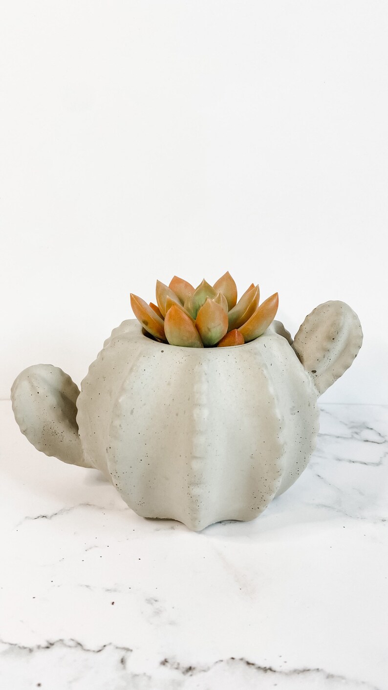 Concrete Cactus Planter Concrete Planter Plant Pot Indoor Planter Succulent Planter Small Plant Pot Cactus Decor BLACK FRIDAY image 3