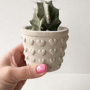 May include: A small cactus plant in a white concrete pot with a heart pattern. The pot is being held by a hand with pink nail polish.