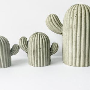 May include: Three gray concrete cactus sculptures of varying sizes. The largest cactus is about 10 inches tall, the middle cactus is about 6 inches tall, and the smallest cactus is about 4 inches tall.