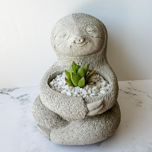 May include: A gray concrete sloth planter with a small green succulent plant inside. The planter is shaped like a sloth sitting with its arms crossed.