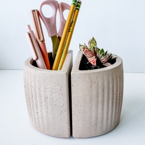 May include: A divided concrete planter with a succulent plant in one side and a pink pair of scissors and pink and yellow pens in the other side.