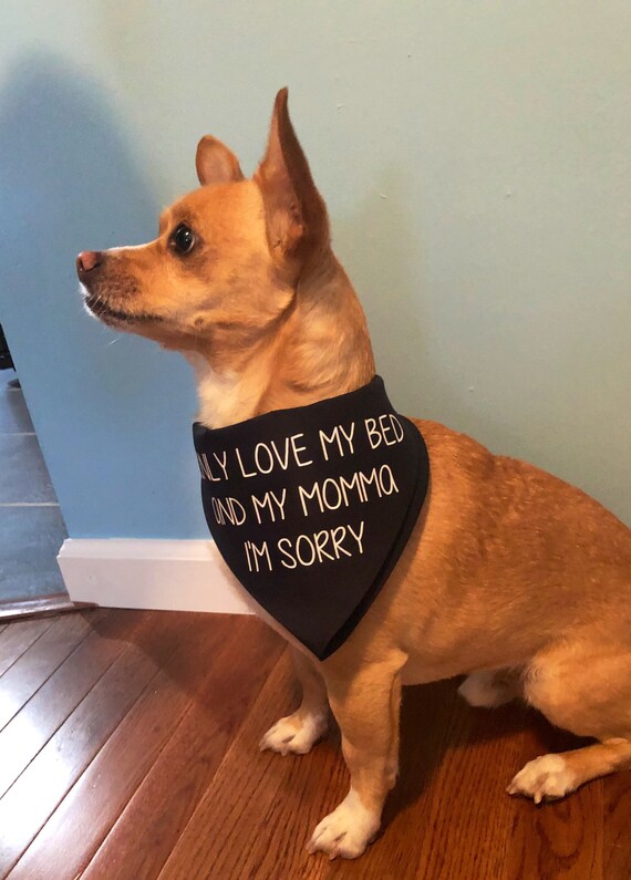I only love my bed and top my momma im sorry dog bandana